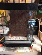 Terrarium 30 x 30 x 50, Enlèvement, Utilisé, Terrarium ou Paludarium
