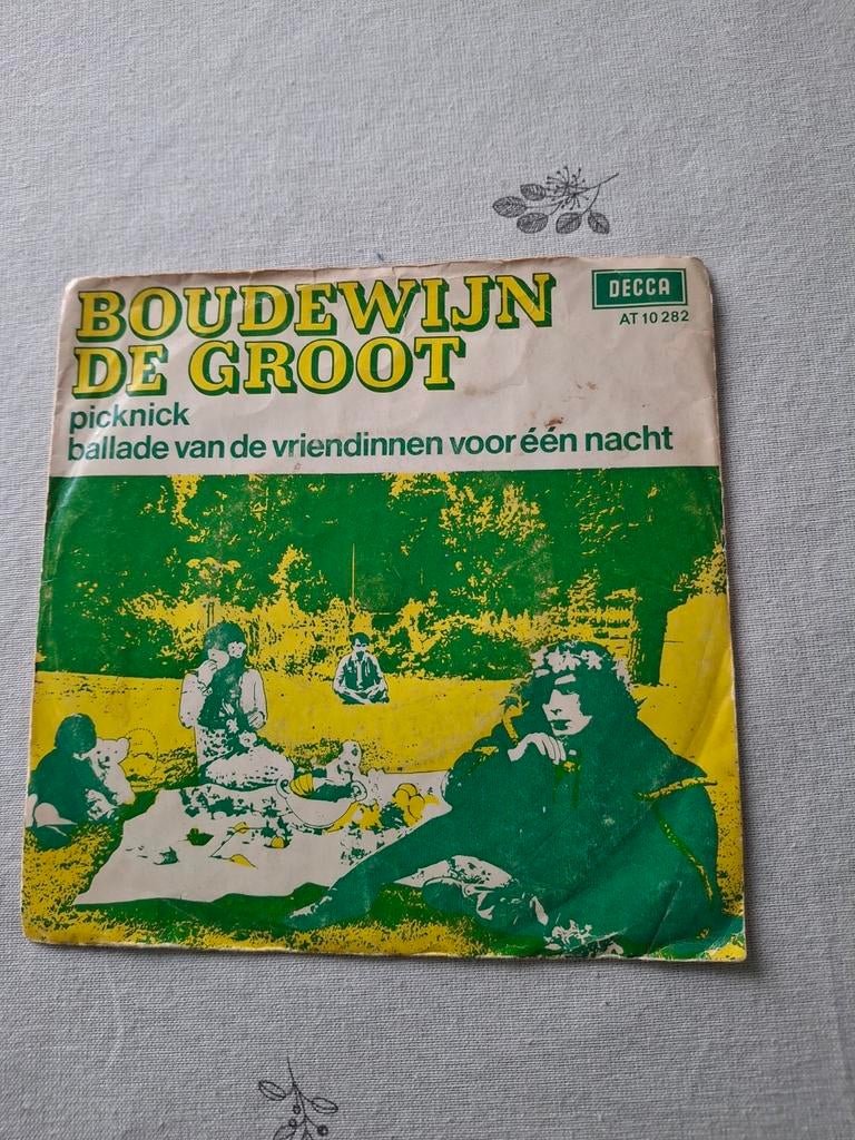 Vinyl single  boudewijn de groot  picknick, Enlèvement ou Envoi, Single