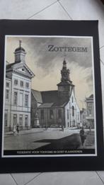 Affiche stad Zottegem, Ophalen of Verzenden, Zo goed als nieuw