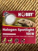 Hobby Halogen Spotlight 100 W NIEUW, Ophalen of Verzenden