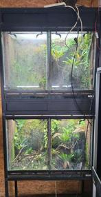 Gifkikker stelling, Ophalen, Gebruikt, Terrarium of Paludarium