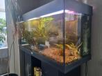 Aquarium, Dieren en Toebehoren, Ophalen, Zo goed als nieuw