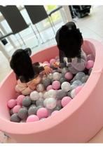 Piscine à balles, Enlèvement, Comme neuf