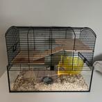 Hok voor hamstertje, Enlèvement, Utilisé, Niche