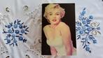 Marilyn Monroe De Biografie , boek in het Nederlands., Boeken, Biografieën, Gelezen, Donald Spoto, Ophalen of Verzenden, Film, Tv en Media