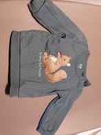 Trui eekhoorn, Garçon ou Fille, C&A, Enlèvement ou Envoi, Pull ou Veste