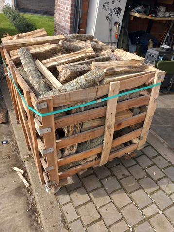 Droog populieren brandhout  beschikbaar voor biedingen