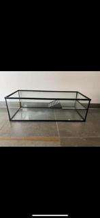 Schildpad bak, Ophalen, Zo goed als nieuw, Terrarium of Paludarium