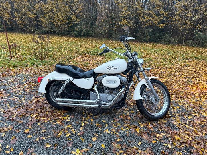 Harley Davidson 883 Sportster, Motos, Motos | Harley-Davidson, Particulier, Enlèvement