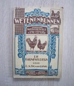 De Barnevelders race de poule van Gink C.S. Th 1928, Volaille, Utilisé, Enlèvement ou Envoi, Van Gink C.S. Th.