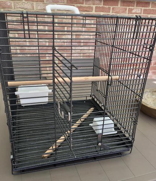 Cage de transport Perroquet - Perruches - Oiseaux, Animaux & Accessoires, Oiseaux | Cages & Volières, Comme neuf, Cage à oiseaux