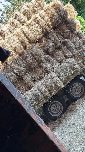 Hooi te koop kleine balen-pakken beschikbaar voor biedingen