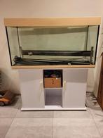 aquarium, Dieren en Toebehoren, Ophalen, Gebruikt