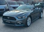 Ford//Mustang//Cabriolet, Autos, Cuir, Argent ou Gris, Achat, Entreprise