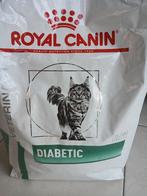 Croquettes Chat DIABETIC Royal Canin 3,5 Kg, Animaux & Accessoires, Nourriture pour Animaux, Enlèvement, Chat