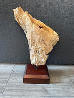 Versteend hout, Verzamelen, Ophalen of Verzenden