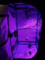 Totale binnen kweekset met toebehoren en timer meting temp., Tuin en Terras, Kweekspullen, Ophalen, Kweektent