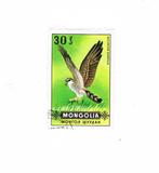 MONGOLIE: ROOFVOGEL- 1 ZEGEL GESTEMPELD, Postzegels en Munten, Postzegels | Thematische zegels, Ophalen of Verzenden, Dier of Natuur