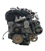 Land Rover Defender L316 2.4L 244DT-motor, Auto-onderdelen, Motor en Toebehoren, Ophalen of Verzenden, Gereviseerd, Land Rover