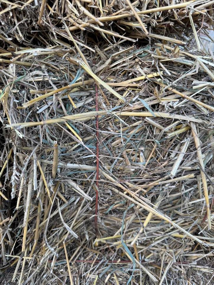 Kleine bio strobaal, Dieren en Toebehoren, Dierenvoeding, Vee, Ophalen