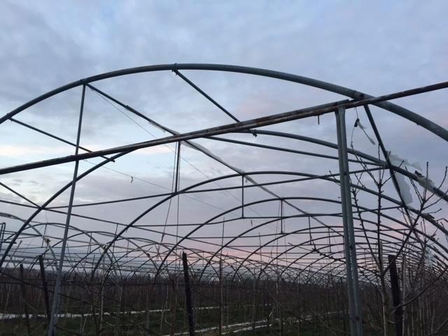 4 grands tunnels pour recouvrir le plastique (3120 m2), Articles professionnels, Agriculture | Outils, Culture de bulbes, Arboriculture
