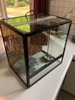 Terrarium 40 x 40 x 30, Ophalen