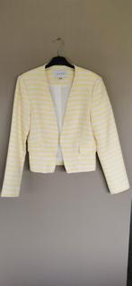 Geel met wit nieuwe blazer Lucy & Co. maat M, Lucy & Co., Jaune, Taille 38/40 (M), Enlèvement ou Envoi