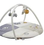 Speelboog Nijntje, Ophalen, Gebruikt, Babygym
