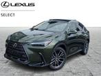 Lexus NX 350h Privilege Line STOCK - NEUF, Auto's, Lexus, Automaat, Parkeersensor, 2494 cc, Bedrijf