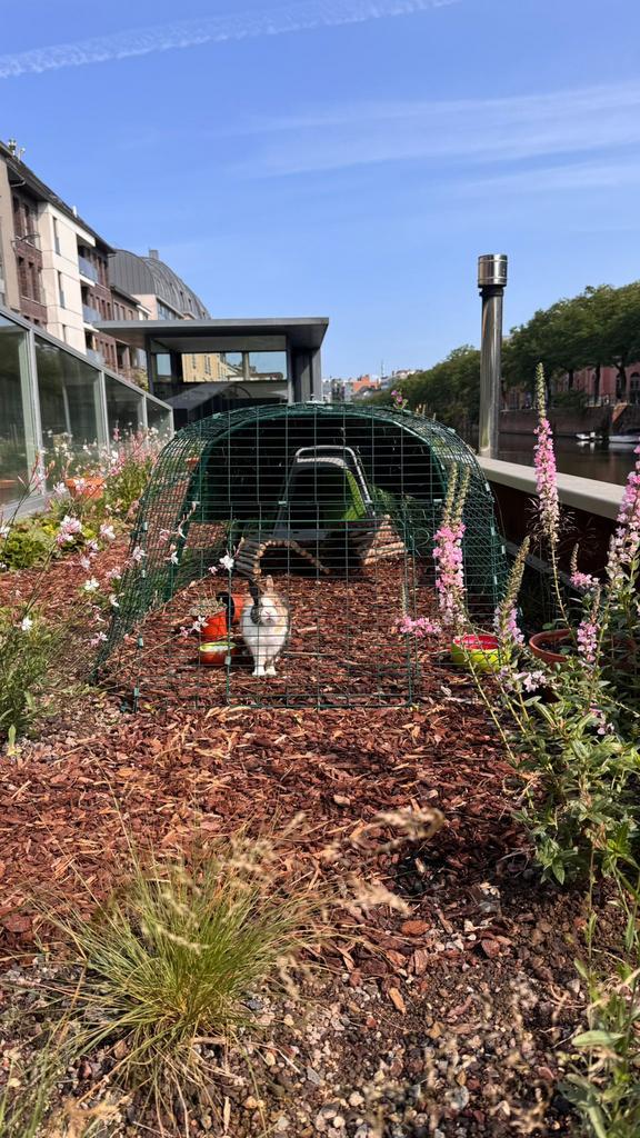 Omlet konijnenhok met 3m lange ren, Dieren en Toebehoren, Knaagdieren en Konijnen | Hokken en Kooien, Zo goed als nieuw, Ren, Minder dan 60 cm