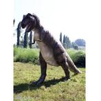 Walking T-Rex – Dinosaurus beeld Lengte 568 cm, Ophalen, Nieuw