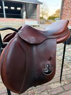 Bruno Delgrange 2022, Dieren en Toebehoren, Ophalen