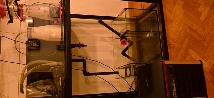 Plug and play zee aquarium, Dieren en Toebehoren, Vissen | Aquariumvissen