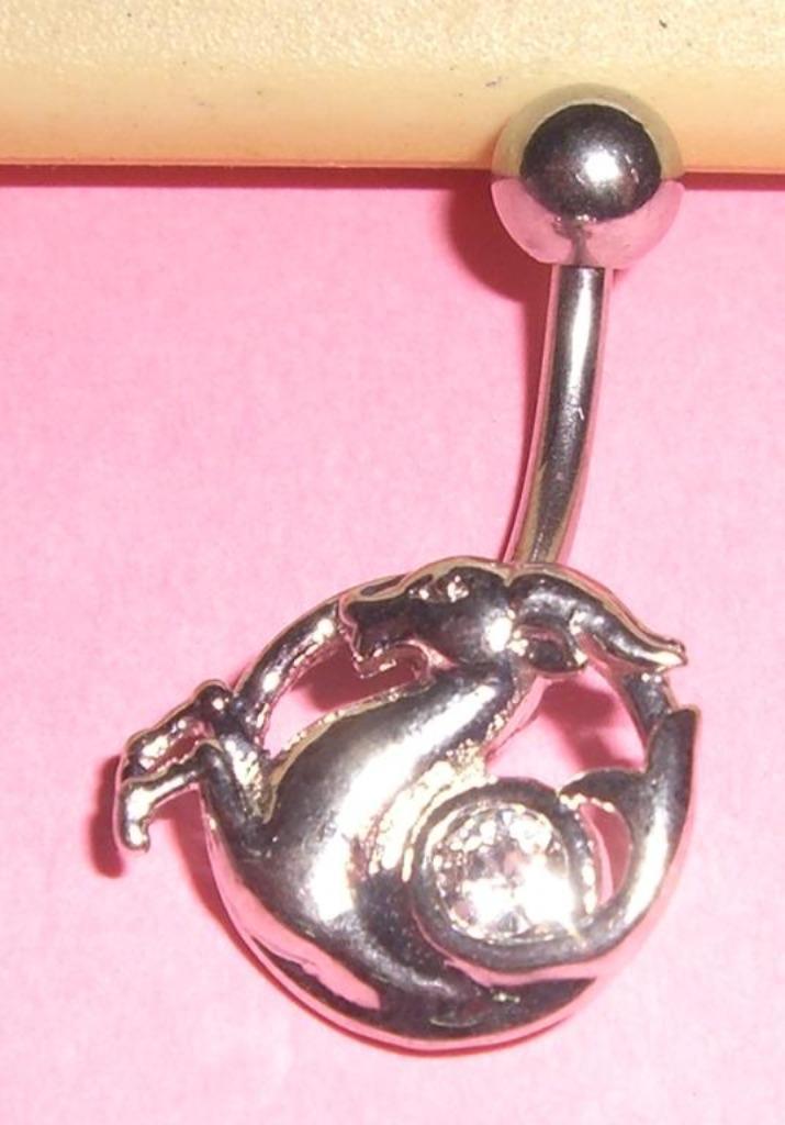 Astrologie: Piercing Nombril, Zodiaque du Capricorne, Bijoux, Sacs & Beauté, Piercings, Piercing nombril, Acier, Enlèvement ou Envoi