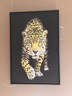 toile avec léopard, Photo ou Poster, Comme neuf, 75 cm ou plus, Enlèvement ou Envoi