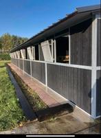 STAL TE HUUR in het Waasland, Dieren en Toebehoren, Weidegang, 2 of 3 paarden of pony's