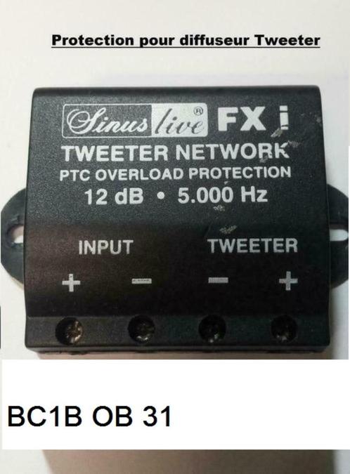 2 Protections pour Tweeter Sinus Live FX i, Autos : Pièces & Accessoires, Électronique & Câbles, Utilisé, Enlèvement ou Envoi