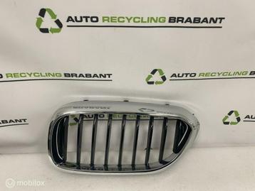 Grill Nier Links BMW 5 Serie G30 G31 M-PAKKET 51137390863 beschikbaar voor biedingen