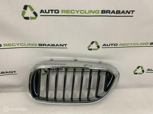 Grill Nier Links BMW 5 Serie G30 G31 M-PAKKET 51137390863, Auto-onderdelen, Carrosserie, BMW, Gebruikt, Ophalen of Verzenden