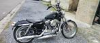 harley davidson seventy two 2012, Particulier