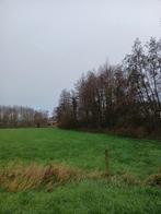 Stookhout, Tuin en Terras, 6 m³ of meer, Ophalen, Elzenhout, Takken