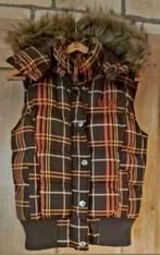 VESTE SANS MANCHES NEUVE, Autre, Enlèvement ou Envoi, Autres couleurs, Taille 42/44 (L)