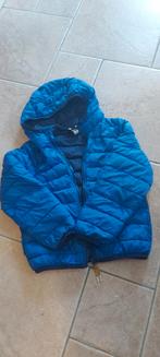 Dun jasje met kap, Timberland, 6 jaar, in nette staat, Enfants & Bébés, Vêtements enfant | Taille 110, Utilisé, Enlèvement ou Envoi