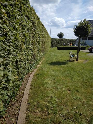 Tuinman beschikbaar voor biedingen
