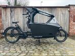 ::NEW:: Urban Arrow CargoLine Automaat Bakfiets, Overige merken, 3 kinderen, Urbanarrow.com, Nieuw