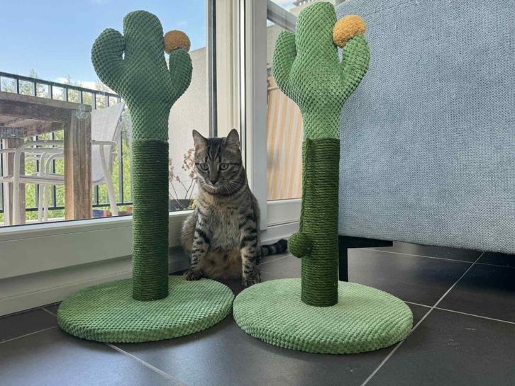 2 Krabpalen voor Katten : 58*33cm, Dieren en Toebehoren, Katten-accessoires, Ophalen of Verzenden