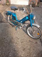 Flandria penny, Enlèvement