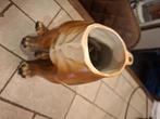 ik zoek boxerhond spaarpot, Antiek en Kunst, Curiosa en Brocante, Ophalen of Verzenden