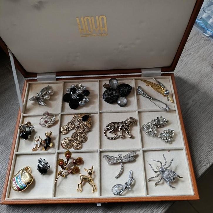 Grote lot vintage & fantasie broches – strass, dieren & bloe, Verzamelen, Overige Verzamelen, Zo goed als nieuw, Ophalen
