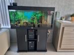 Juwel Aquarium 180L / meubelvoet /JBL PROFLORA, Dieren en Toebehoren, Ophalen, Gebruikt, Leeg aquarium